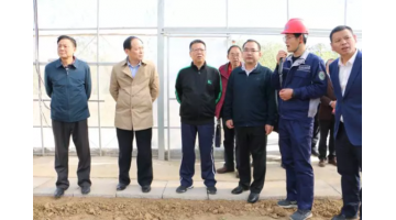 湖北生態(tài)環(huán)境廳黨組成員、副廳長(zhǎng)李瑞勤調(diào)研公司農(nóng)用地修復(fù)項(xiàng)目